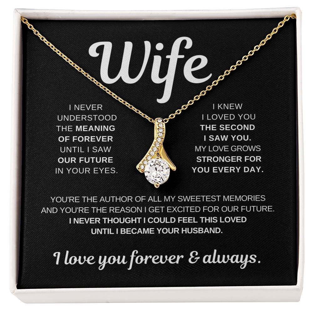 To My Wife - You Are My Reason